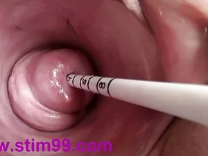 mexinas porno pelicu ...