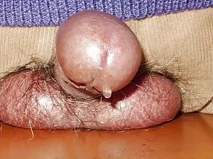 El arte de hacer una ...